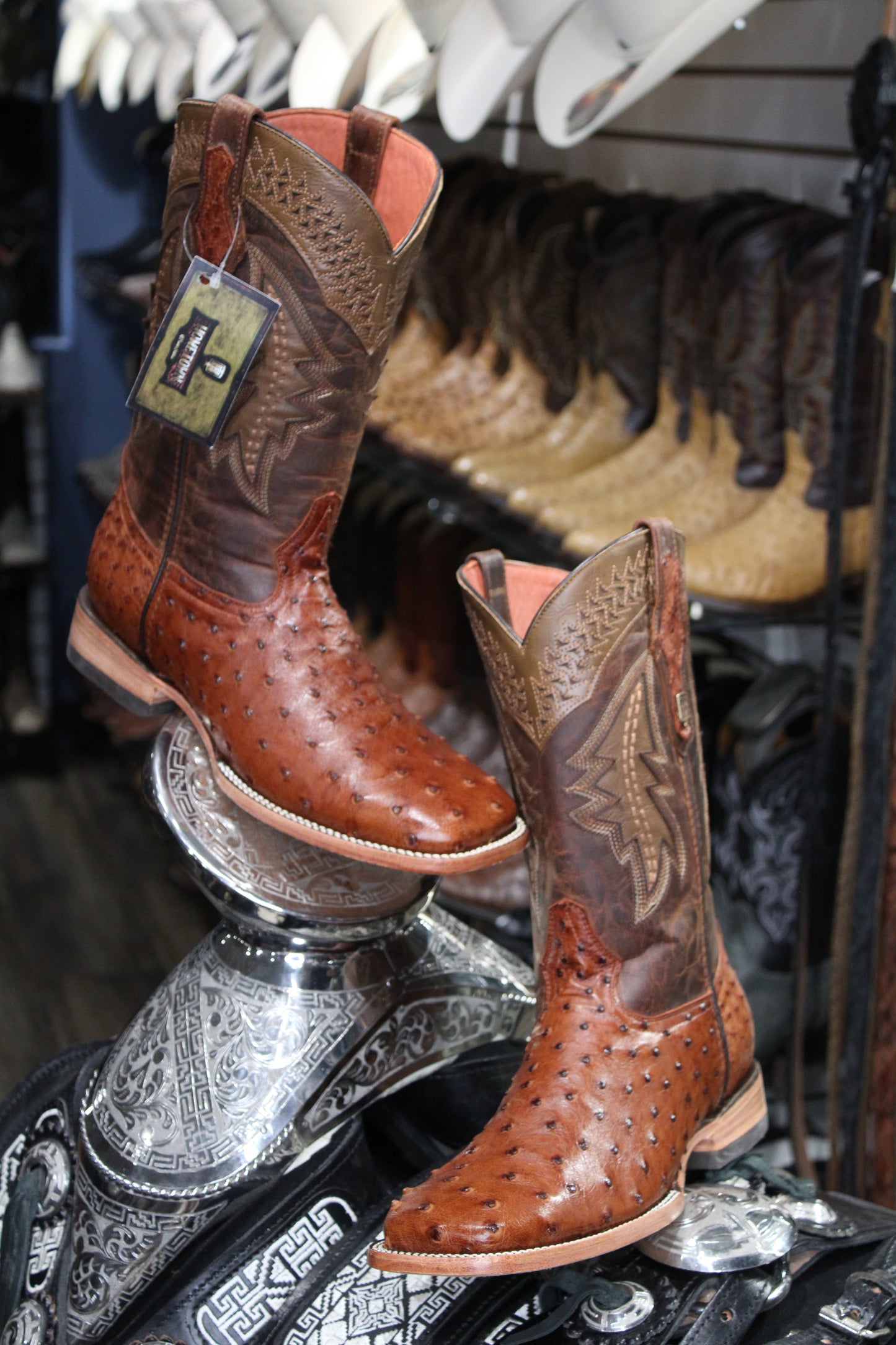 Ostrich Square Toe Cowboy Boot - Shedron