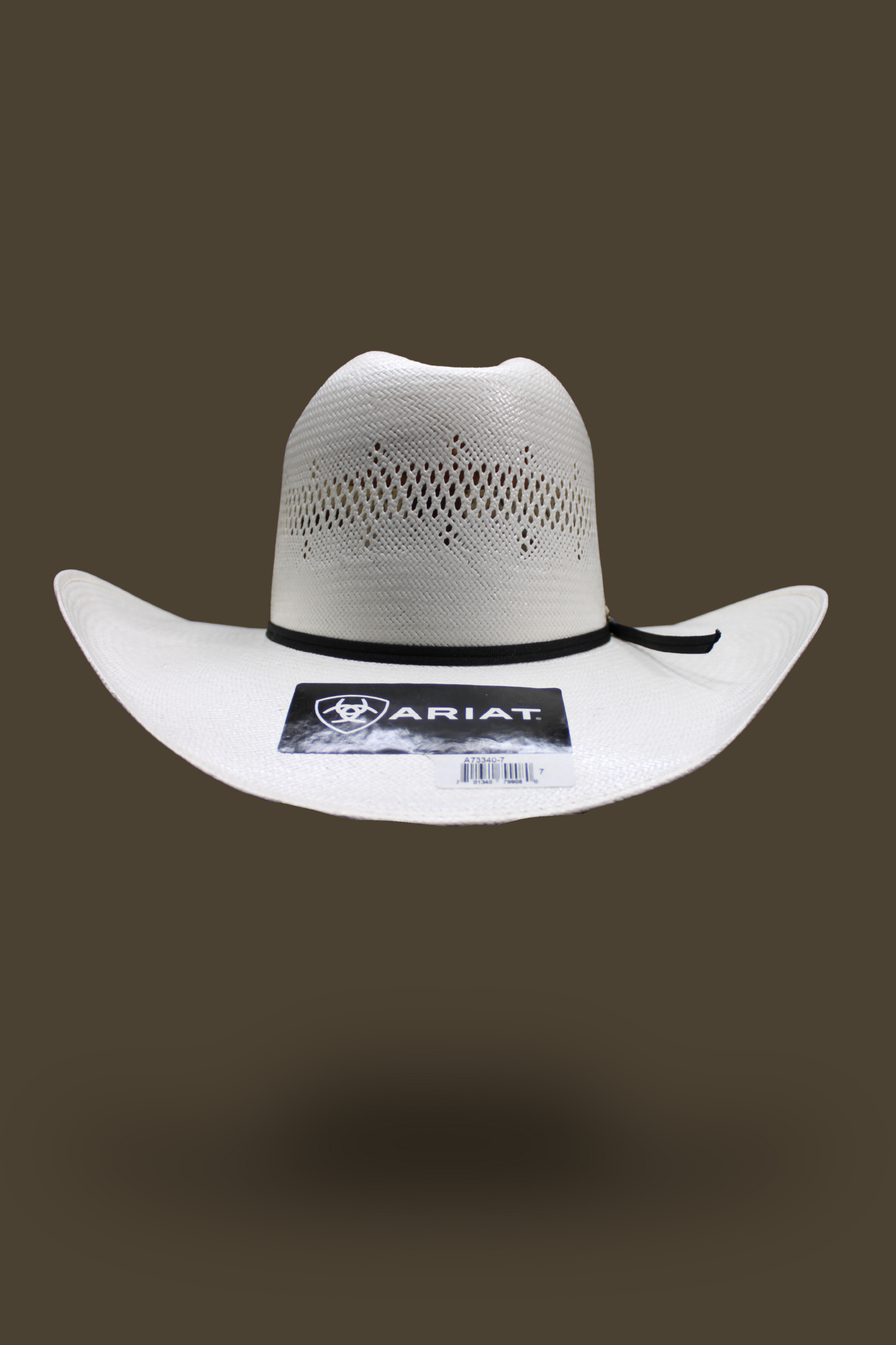 Ariat Shantung 20X Hat