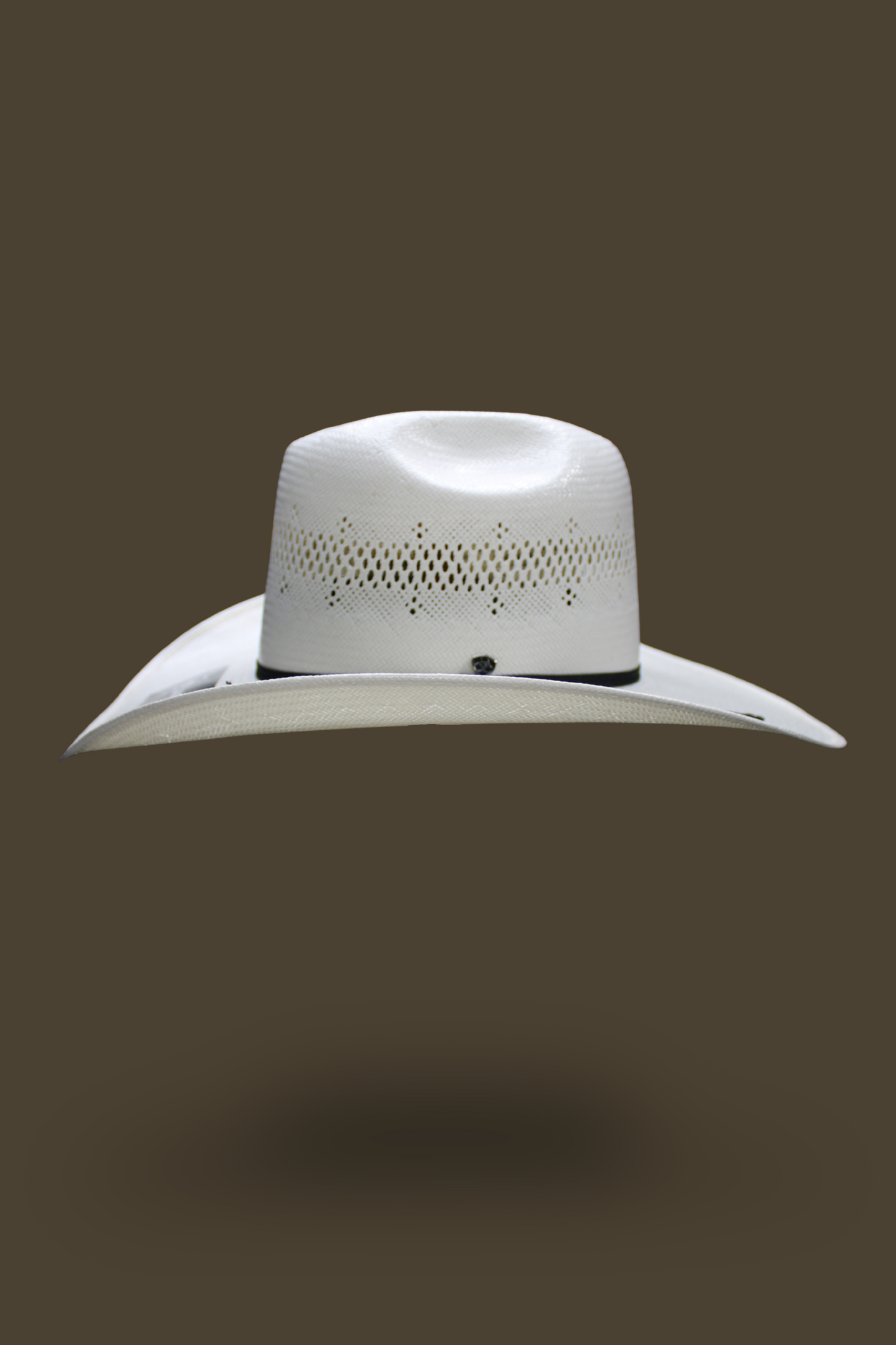 Ariat Shantung 20X Hat
