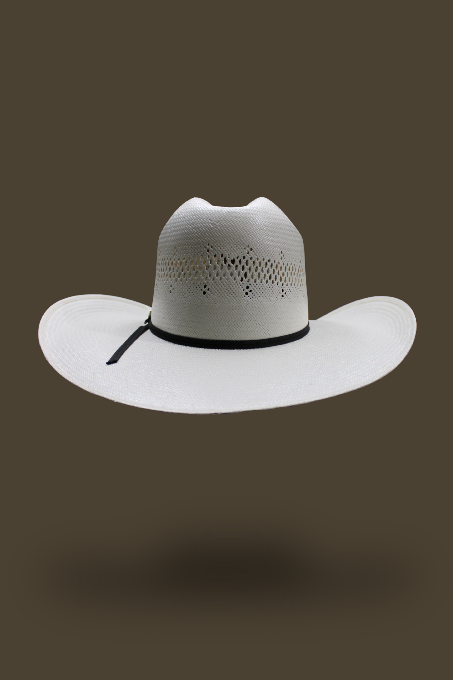 Ariat Shantung 20X Hat