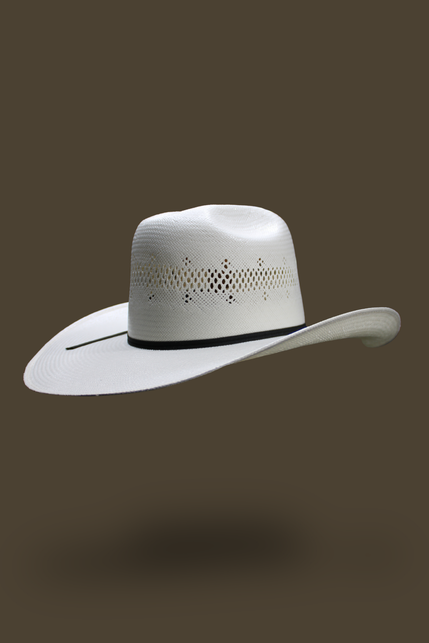 Ariat Shantung 20X Hat