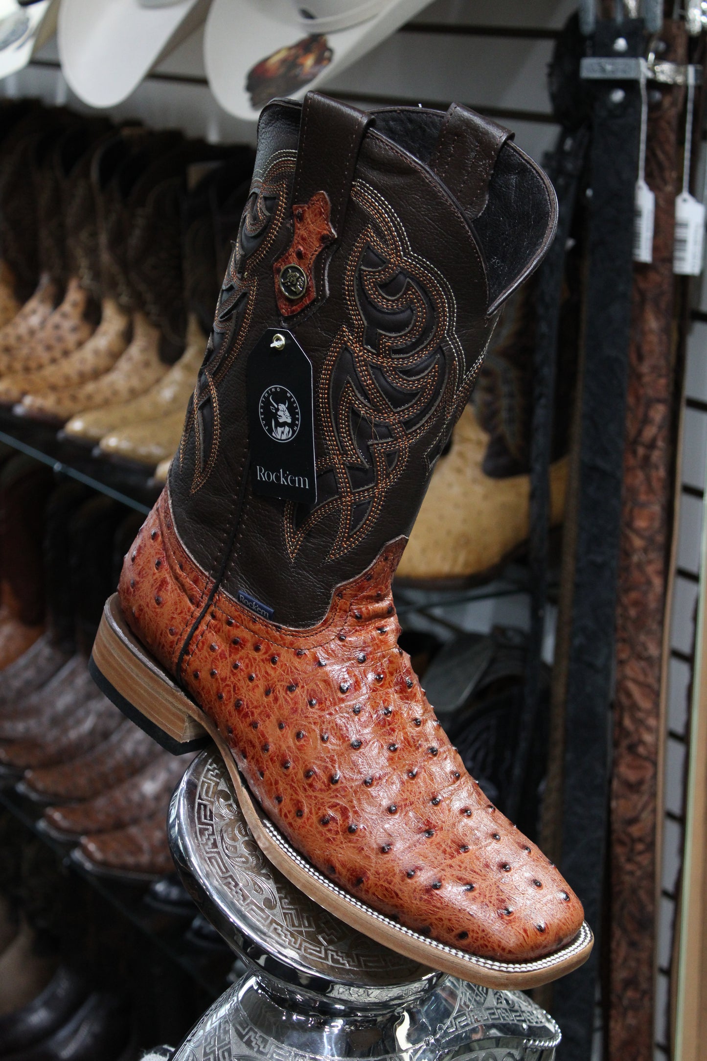 Ostrich Ranch Square Toe Cowboy Boot - Shedron