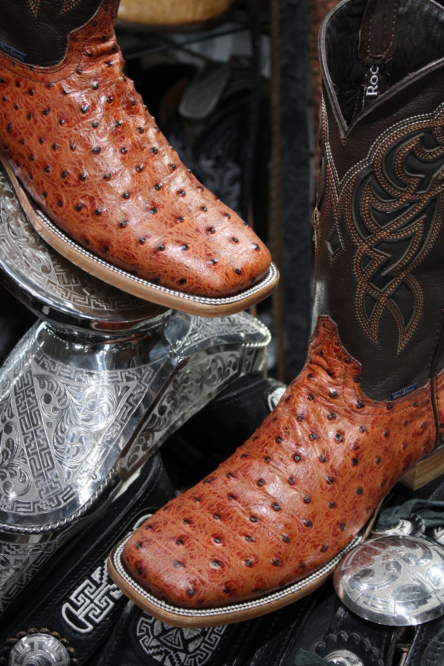 Ostrich Ranch Square Toe Cowboy Boot - Shedron