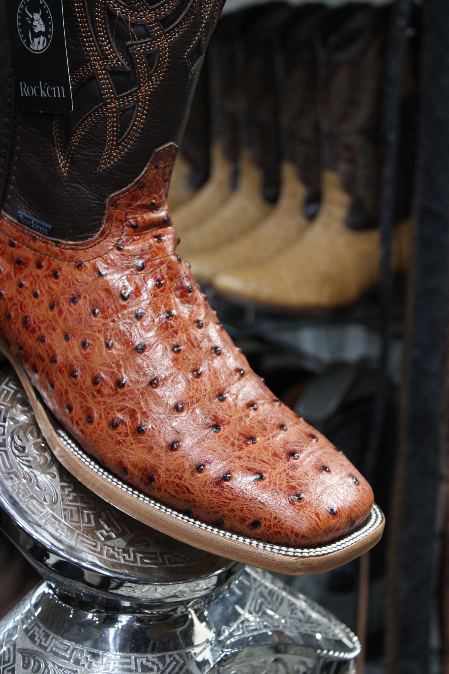 Ostrich Ranch Square Toe Cowboy Boot - Shedron