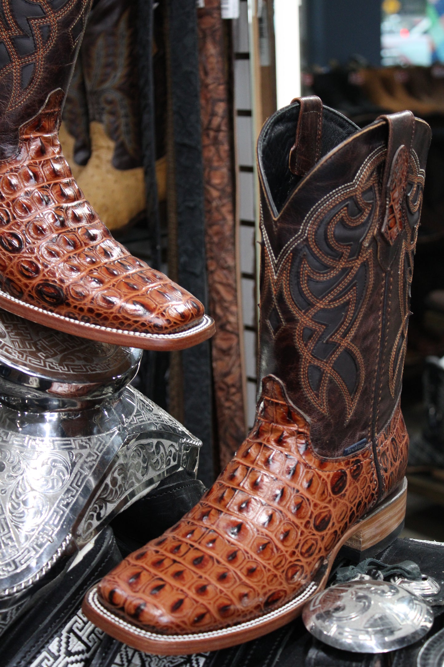 Caiman Hornback Square Toe Cowboy Boot - Shedron