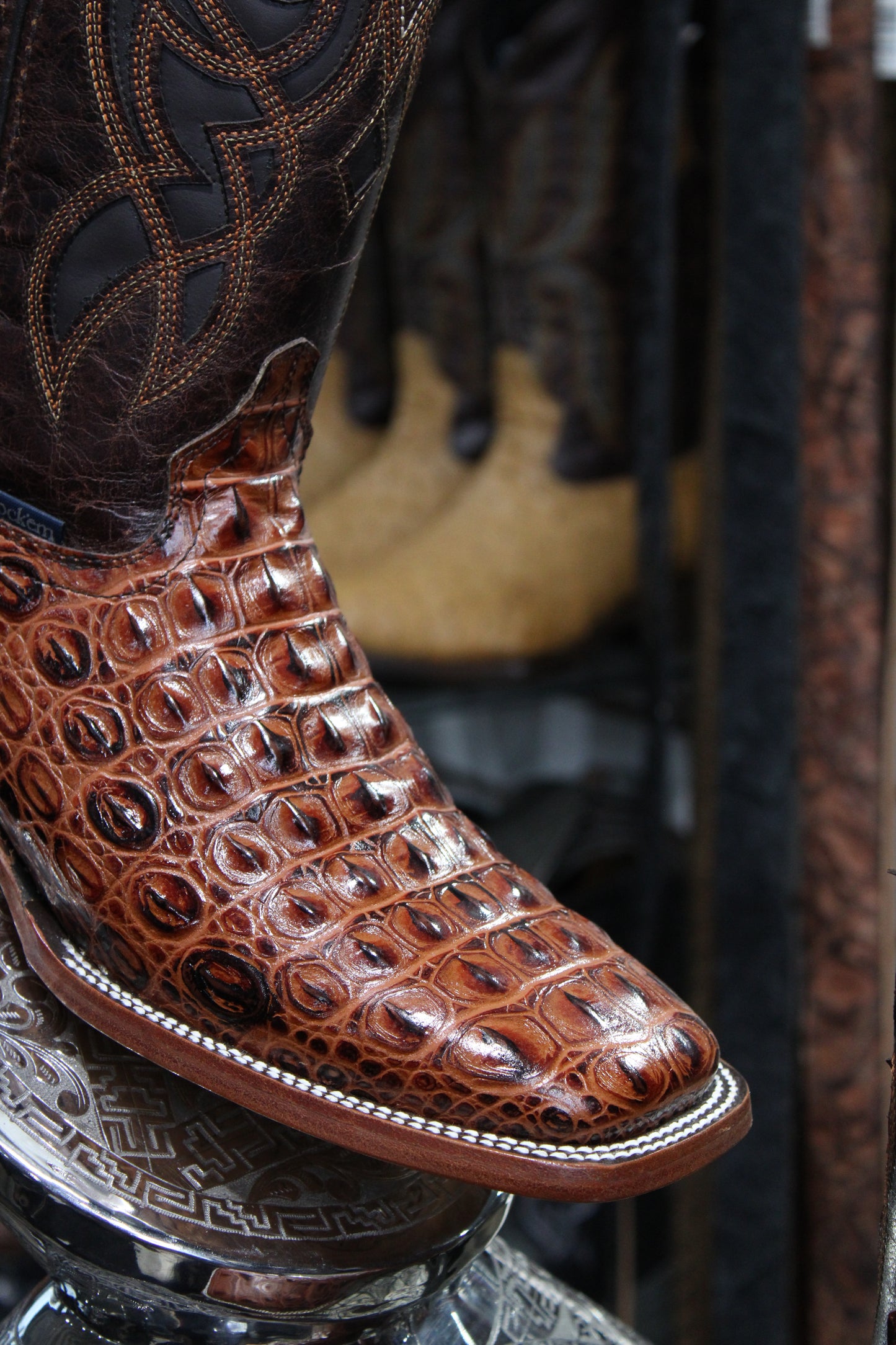 Caiman Hornback Square Toe Cowboy Boot - Shedron