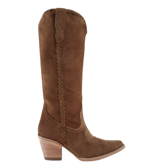 KENIA CAMEL