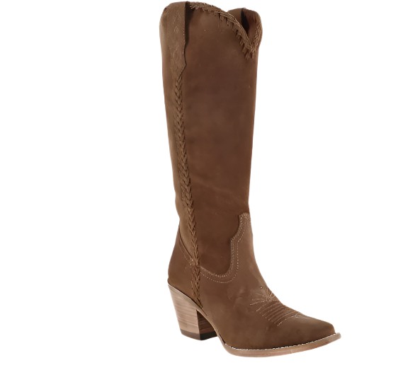 KENIA CAMEL