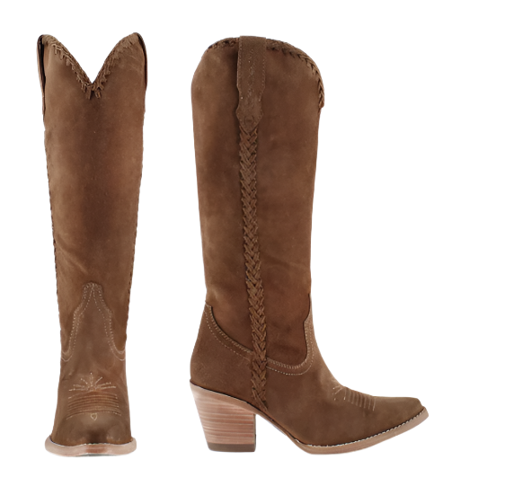 KENIA CAMEL