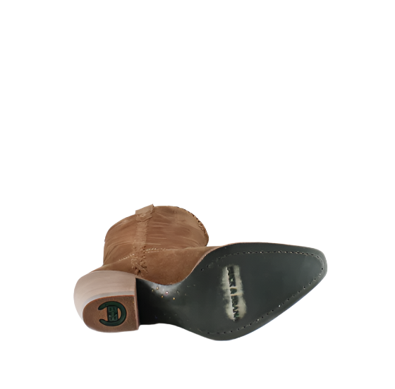 KENIA CAMEL