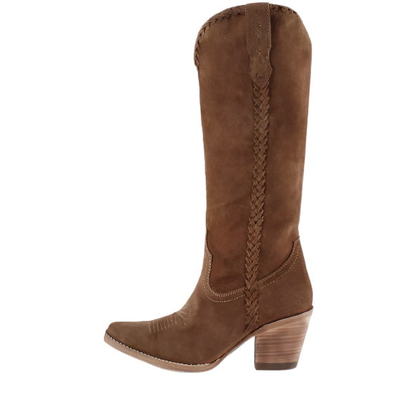 KENIA CAMEL