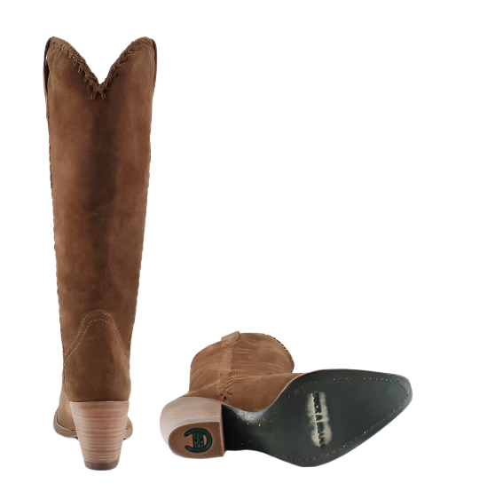 KENIA CAMEL