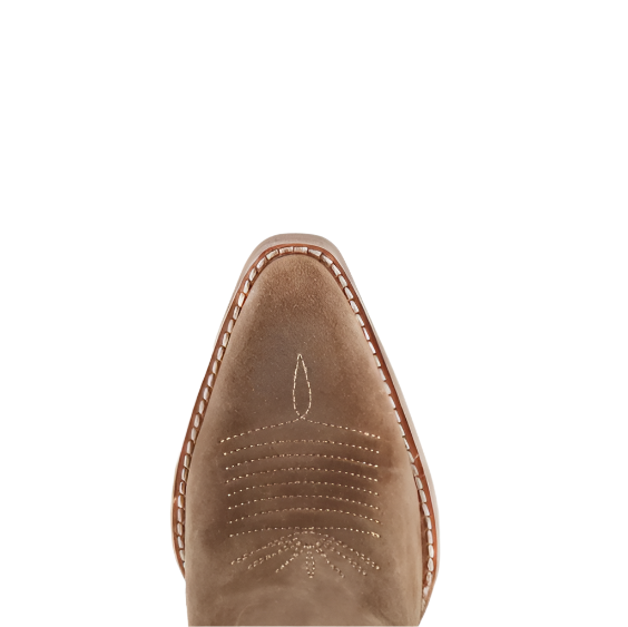 KENIA CAMEL