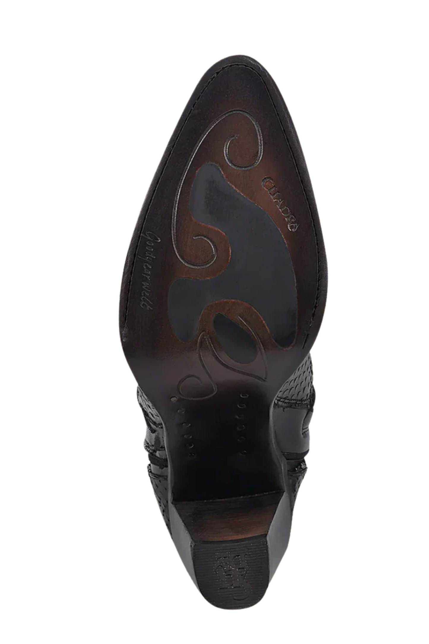 Black Python Knee High Boots for Women